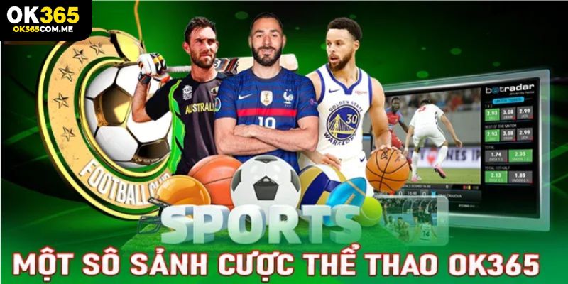 Trải nghiệm những tựa game thể thao tại OK365 hàng đầu